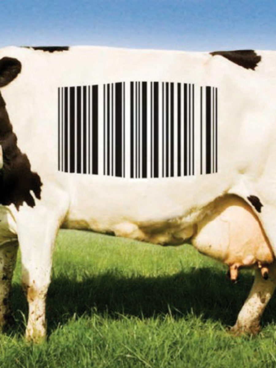 Rassegna Cinematografica “Seed Freedom”