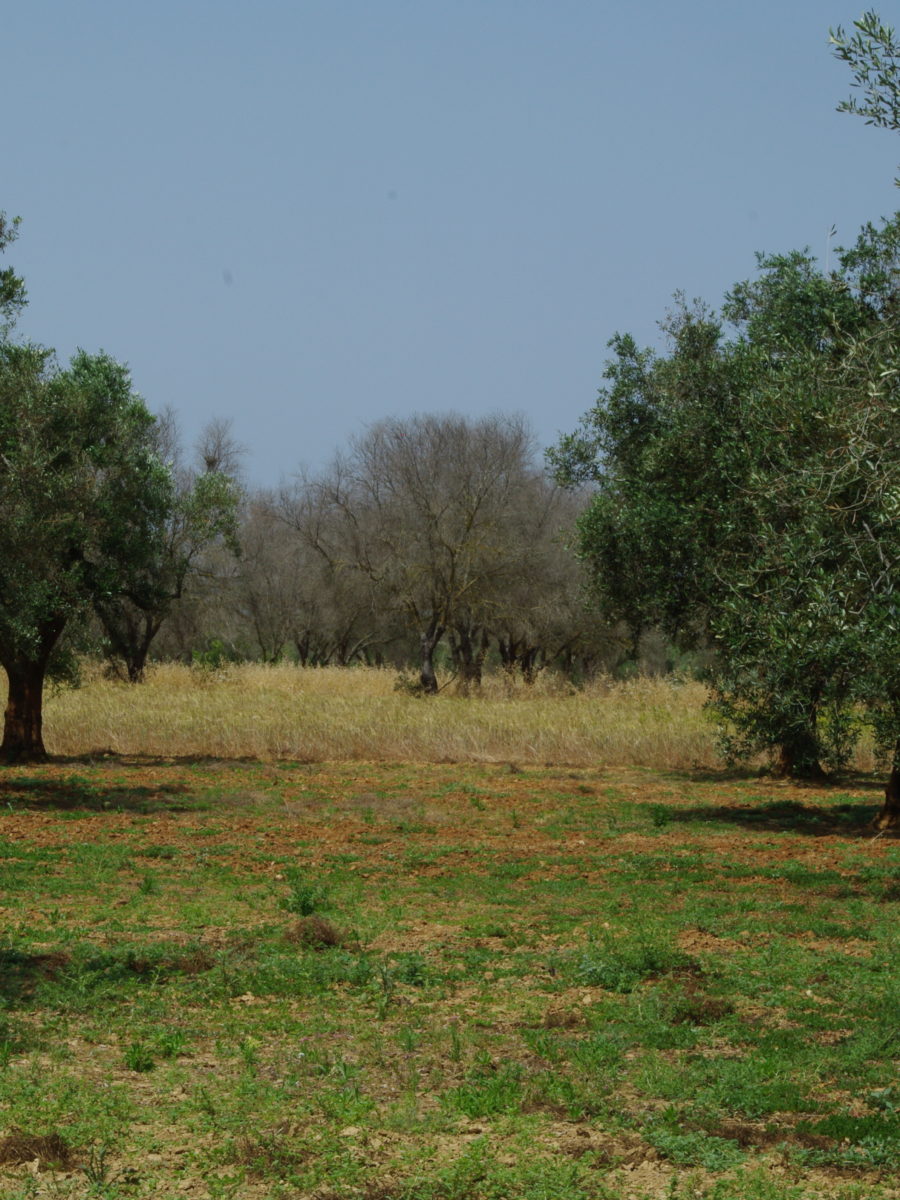 Appuntamenti in sede