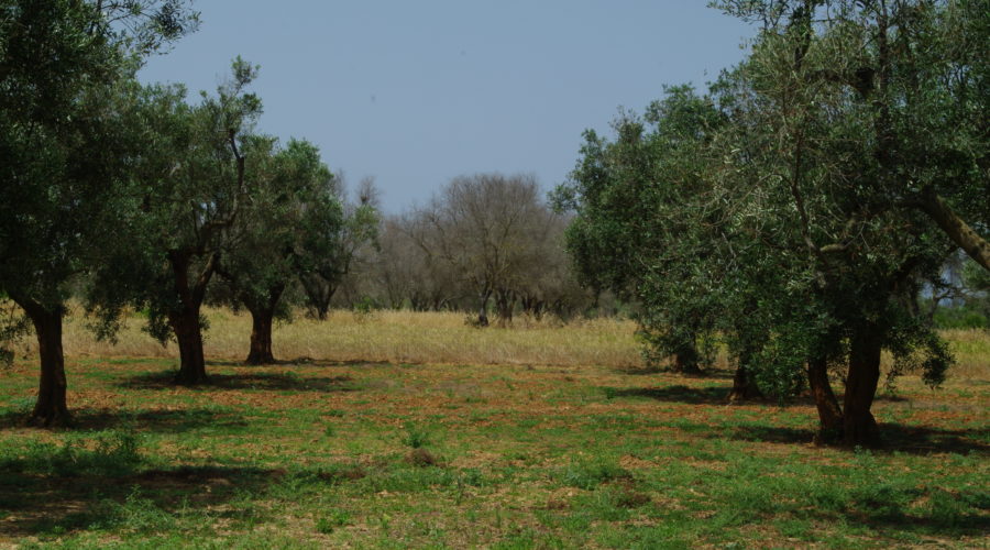 Appuntamenti in sede