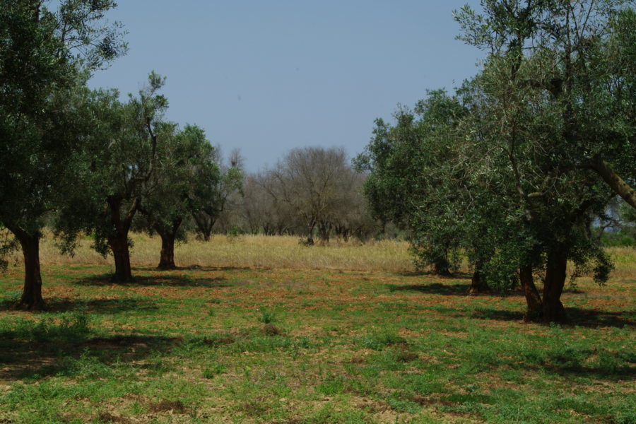 Appuntamenti in sede