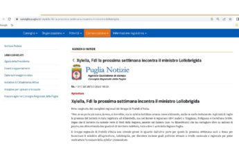 articolo-xylella-fdl